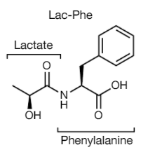 N-乳酰苯丙氨酸(Lac-Phe)