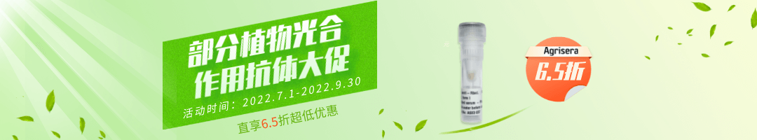 Agrisera部分植物内参抗体和植物细胞区室抗体促销活动