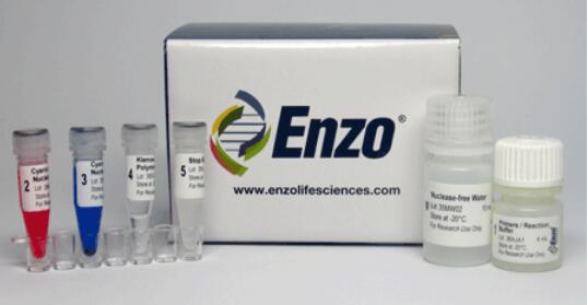 ENZO 热转移稳定性检测试剂盒