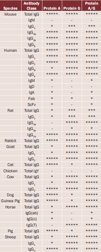 4.Protein A，Protein G，Protein A/G----树脂/预装柱/试剂盒