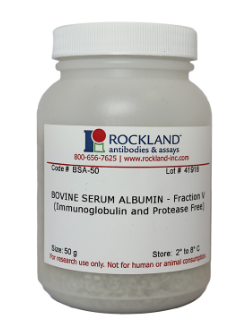 Bovine Serum Albumin - Fraction V