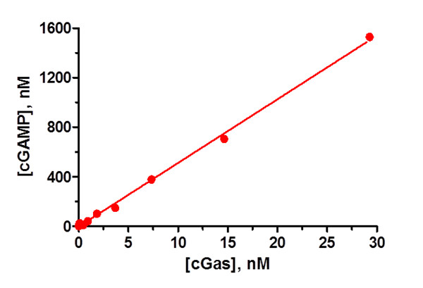 cGAS和 cGAMP 线性