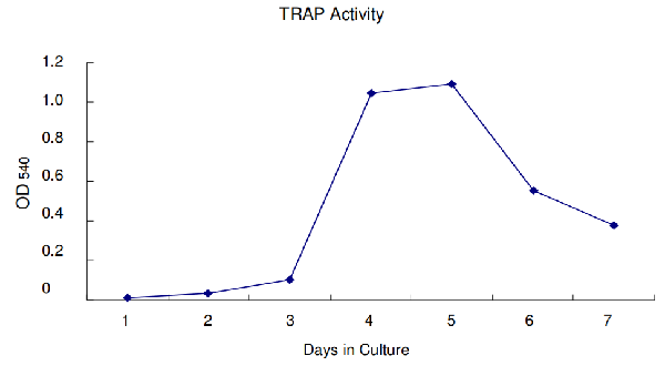 破骨细胞培养上清液中TRAP活性的测定