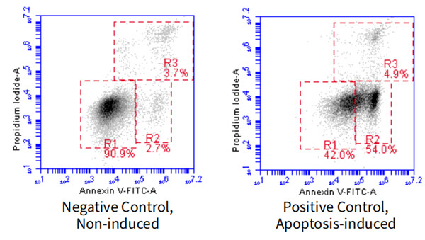 Annexin V-FITC/PI双染流式分析细胞凋亡