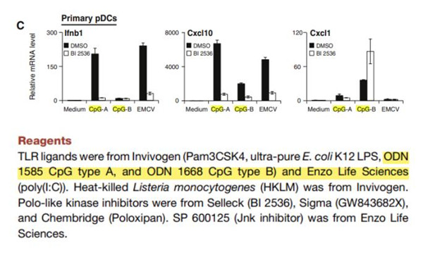 CpG ODN Cell文章鉴赏
