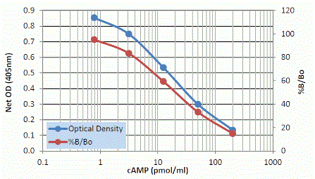 环磷酸腺苷酶 cAMP ELISA 试剂盒