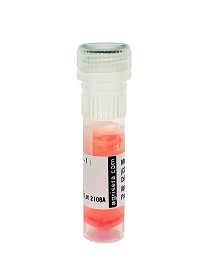 ARS-AS18-4195-1ml