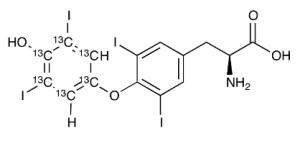 甲状腺素13C6