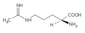 L-NIO，5 mg