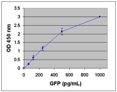 使用GFP ELISA试剂盒生成的标准曲线。