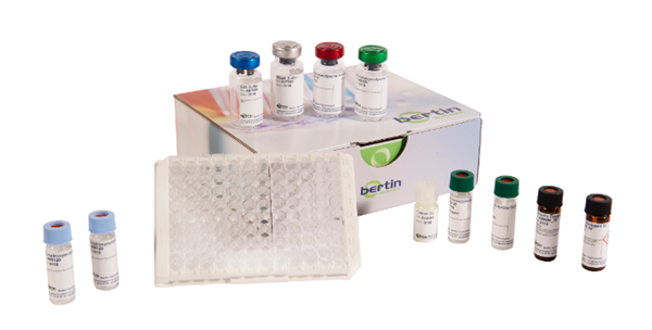 胰岛素（人）ELISA试剂盒
