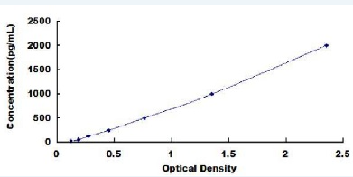 CXCL6 (Human) ELISA Kit 