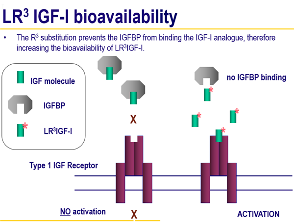 lr3 igf-i的优势：相比胰岛素或天然igf-i，有更高的体外生物学效价；显著提