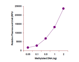 甲基化DNA的定量