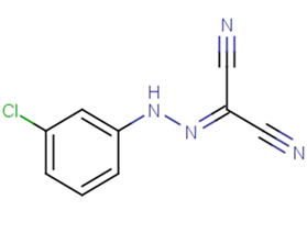 CCCP溶液(细胞凋亡诱导剂)