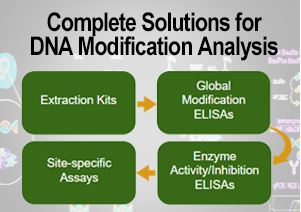 DNA 甲基化研究