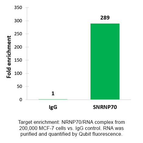 靶富集：来自200000个MCF-7细胞的NRNP 70/RNA复合物与IgG对照。 RNA纯化后用Qubit荧光定量。