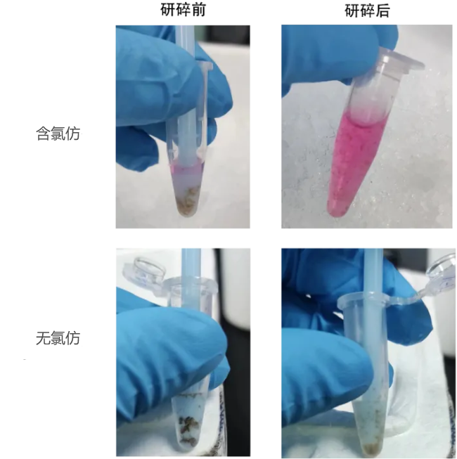 RNA提取方法