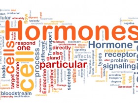 激素（hormones）检测试剂盒汇总—激素检测全指南
