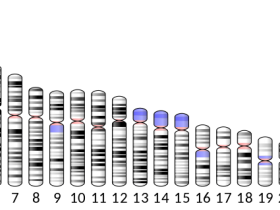 人源CD99 ELISA抗体对(Antibody pair)：商品化文章验证
