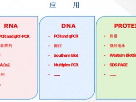 RNA/DNA/蛋白质三合一提取试剂盒中文说明书&FAQ