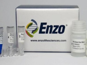 Enzo特色CGH标记试剂盒，专利标记，超行业标准！