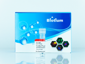 【Biotium力荐】TrueBlack 好用的脂褐素自发荧光淬灭剂