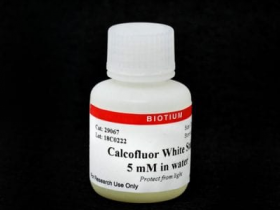 超好用的Biotium酵母/真菌荧光染料（Calcofluor White）解决方案