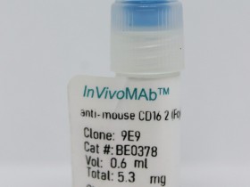 InVivoMAb 抗小鼠 CD16.2 (FcγRIV)