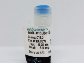 体内MAb抗小鼠IL-12 p35BioXCell热销