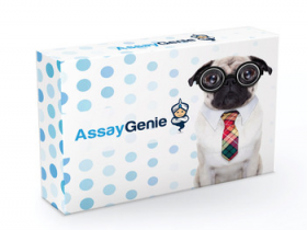 Assay Genie2023热销产品汇总