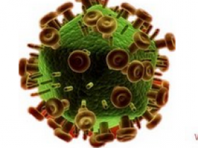 慢病毒载体滴度的检测方法