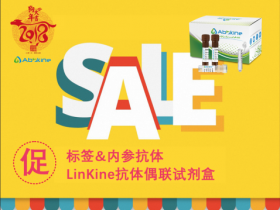 LinKine抗体偶联试剂盒&标签内参抗体,贺岁来袭!