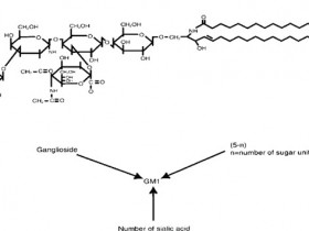 新品尝鲜:Matreya的神经节苷脂