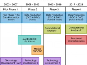 生物评论周报第129期:Nature:展望ENCODE计划,“DNA元件百科全书”