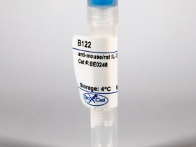 BioXCell热销：体内单克隆抗体抗小鼠/大鼠IL-1β说明书