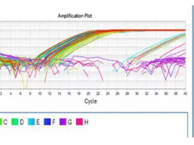 Q-PCR 的计算原理及过程