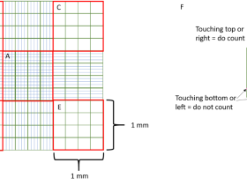 干货分享:细胞计数的实验步骤&常见问题分析