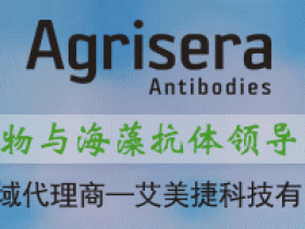 Agrisera 植物和藻类抗体-2024新品热销产品