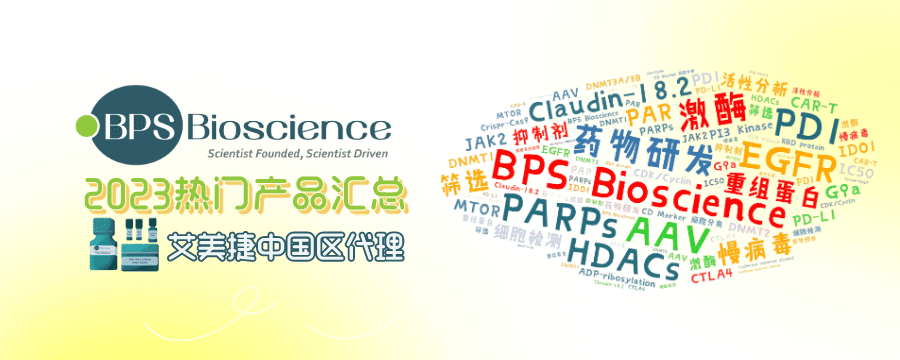 BPS Bioscience热门产品